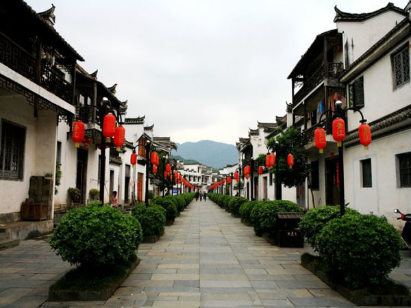 IM电竞官网|桐梓林小学开启“抗击疫情，居家学习”第一天