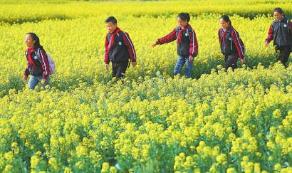 IM电竞-捷报|基蛋生物糖化血红蛋白(HbA1c)产品获IFCC认证!(图2) IM电竞平台