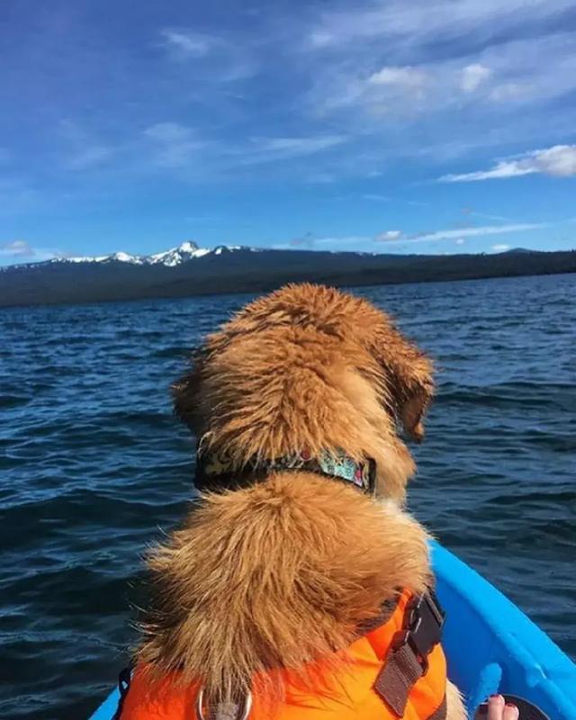 ‘IM电竞平台’今日他是新的亚洲一哥,明日他铁定入主世界前十!(图2) IM电竞平台