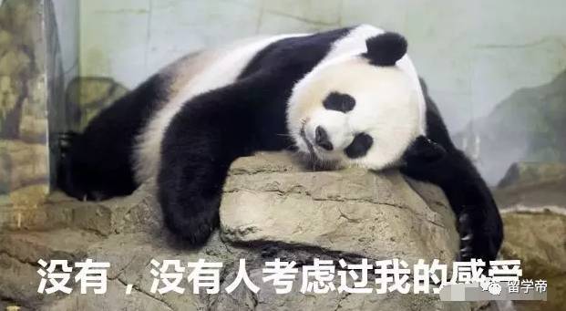 中菲战国足首发预测:于汉超或登场 搭配武磊郜林:IM电竞平台(图2) IM电竞