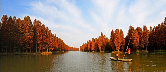 ‘IM电竞’20岁天才在CBA无球可打！有意前往外洋生长，曾陷情感纠葛