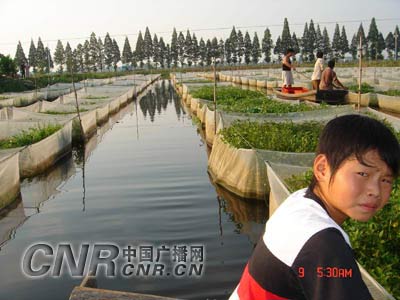 IM电竞官网-乌鲁木齐人流一共需花多少钱(图3) IM电竞官网