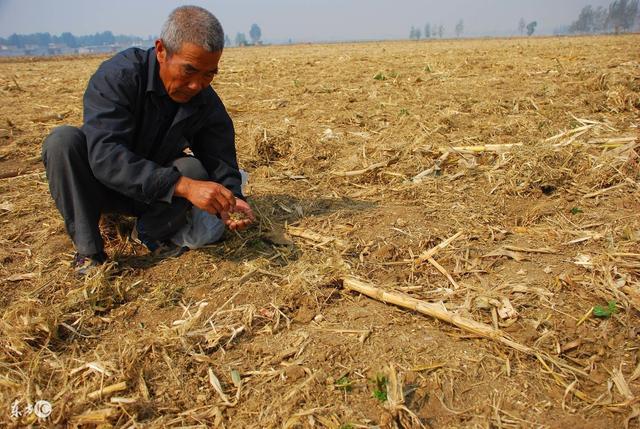 结肠炎的治疗费用是多少-IM电竞(图4) IM电竞官网