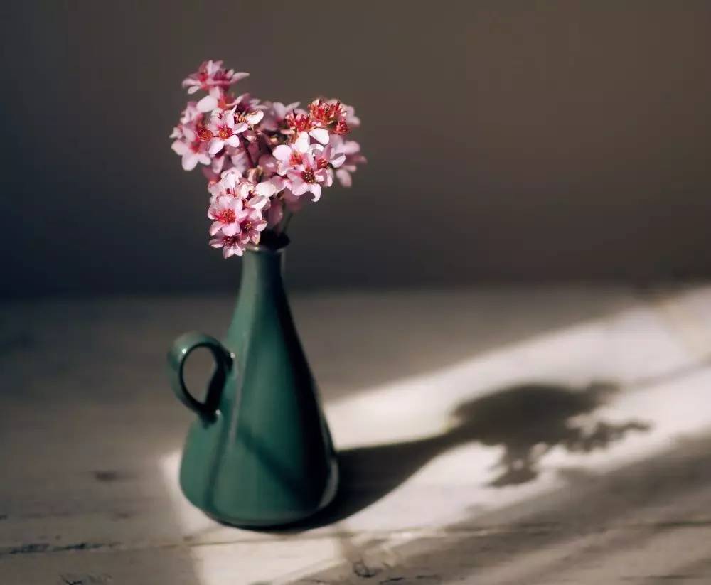 IM电竞官网_秦皇岛惠斯安普HRA成为国内高校健康数据采集专用设备(图2) IM电竞