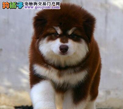 女性怎么会阴道干涩可能是缺乏维生素b2【IM电竞】(图3) IM电竞