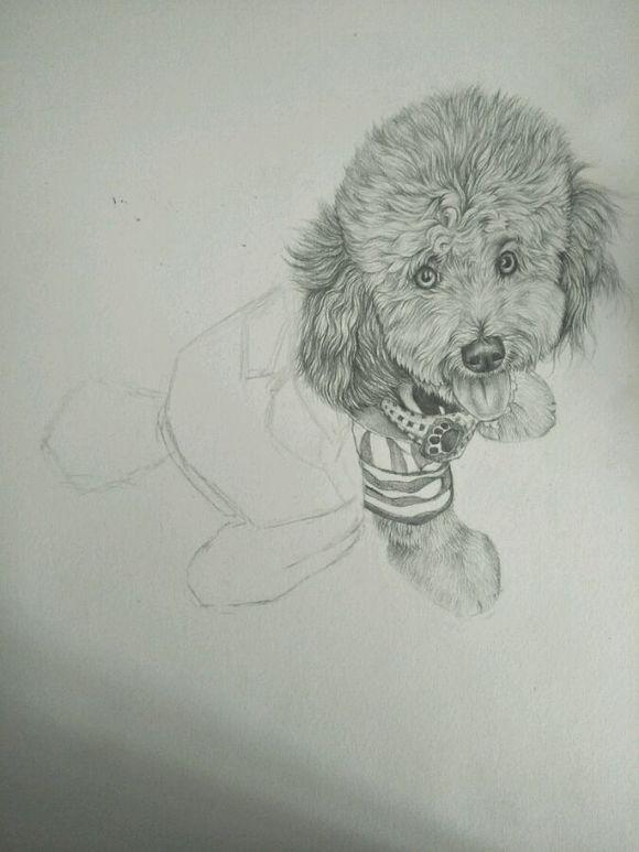 加强校外培训监管整改暑期超标超前培训【IM电竞】(图2) IM电竞官网