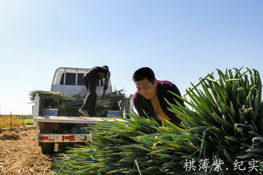 “IM电竞”
运发动有多灾？看了郭晶晶的眼、姚明的膝盖和刘翔的脚 你就懂了
