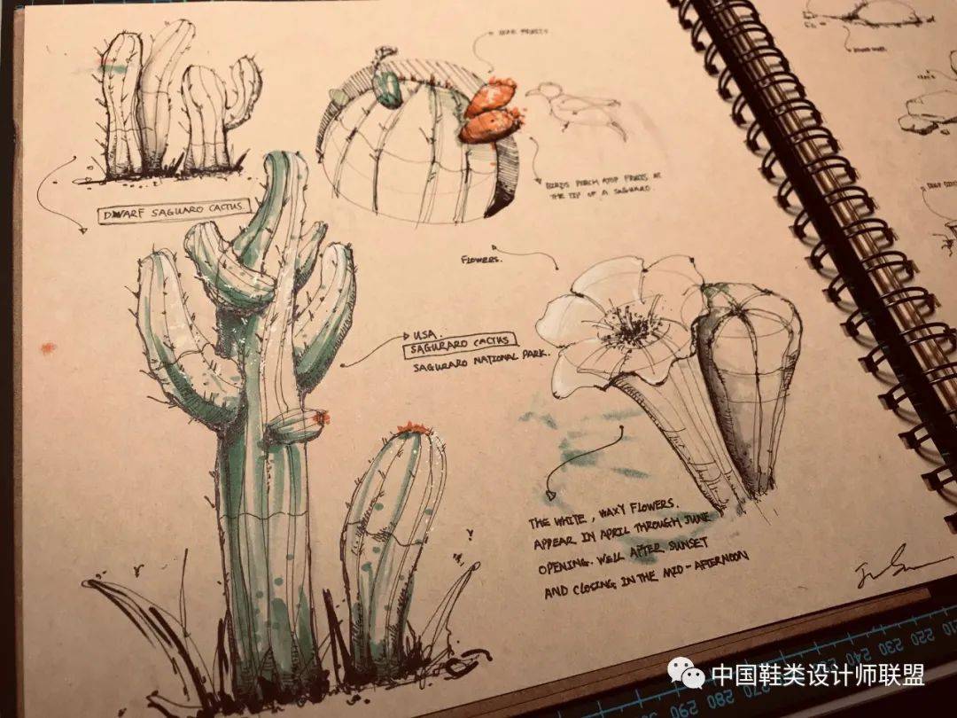 
来稿丨一组出口转内销的球鞋训练稿_IM电竞官网(图15)