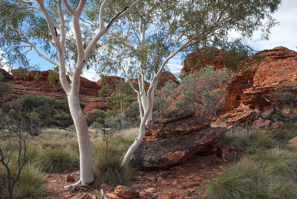 IM电竞平台_江苏邦盛振业前生今世(图2) IM电竞