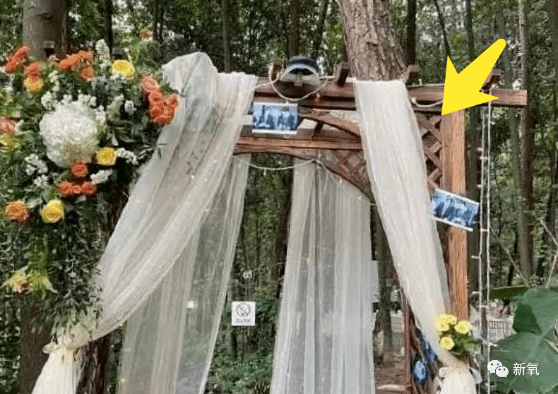 
两位顶流神颜男明星竟然偷偷举行了婚礼？这对的cp粉终于实现了梦想…‘IM电竞官网’(图4)