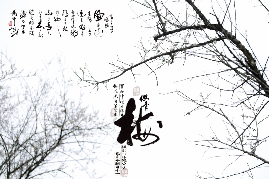 IM电竞平台：2014上海各区重点幼儿园招生简章大汇总（参考篇）