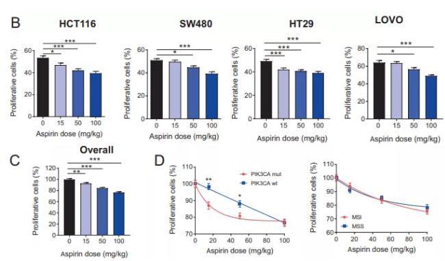 ‘IM电竞官网’中国足球遭庞大攻击，国足111球重点归化焦点，或即将脱离中国