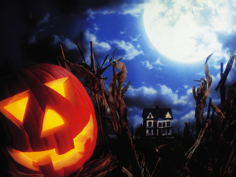 骨关节炎有什么特点骨关节炎怎么保守治疗：IM电竞官网