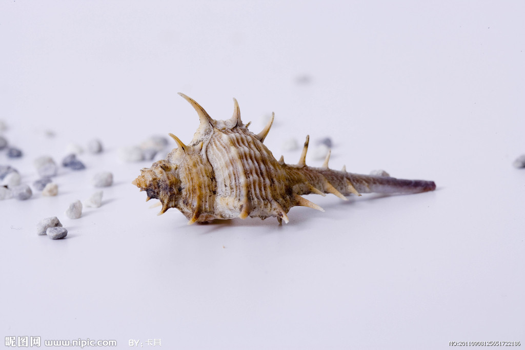 为什么白癜风会扩散呢？-IM电竞官网