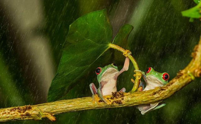 IM电竞平台|四国赛:国奥1-1韩国获亚军糜昊伦轰世界波