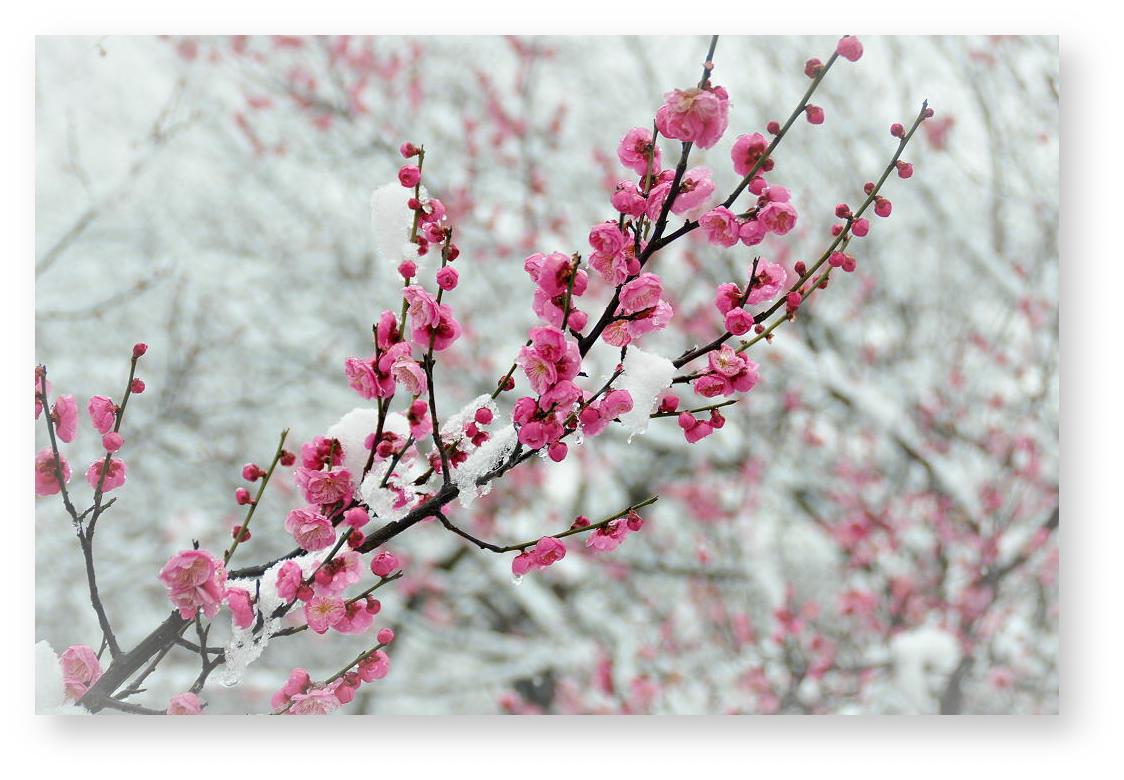 蒙泰公司清明节放假通知|IM电竞