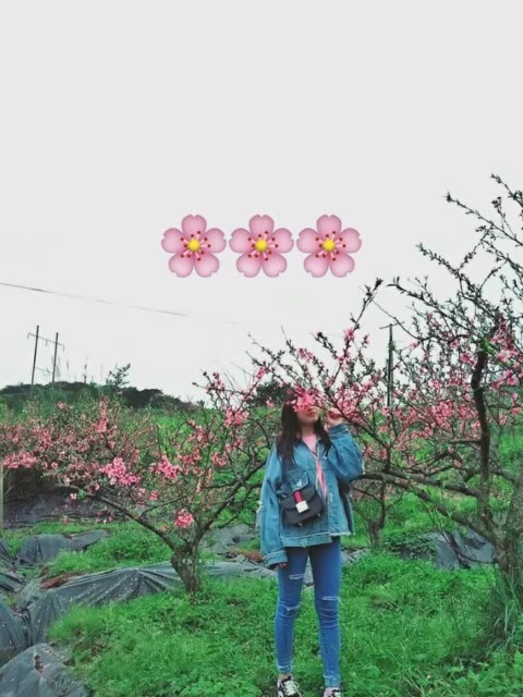 青羊区特教资源中心召开第五届特殊奥林匹克运动会选拔工作会-IM电竞官网