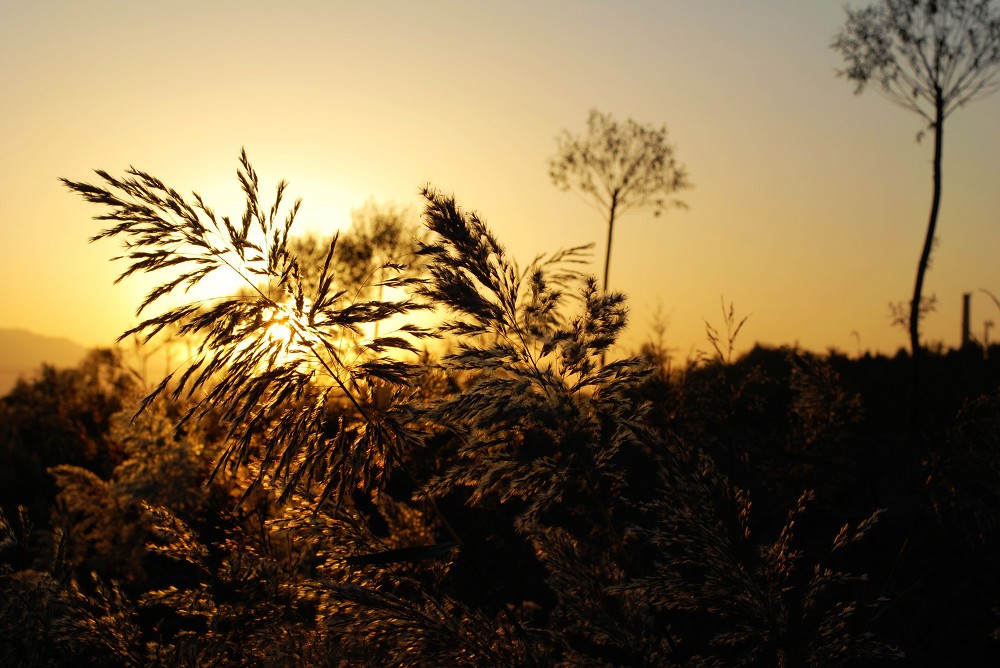 福利院院长雪天送孤儿就医返程不幸遇难|IM电竞